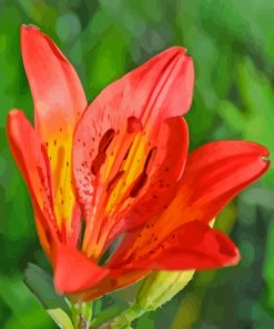 Western Red Lily Diamond Painting