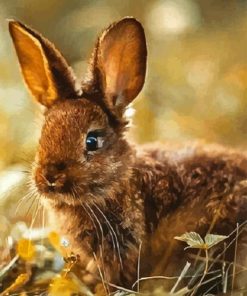 Wild Brown Bunny Diamond Painting