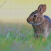 Wild European Rabbit Diamond Painting