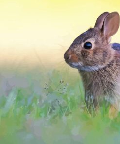 Wild European Rabbit Diamond Painting