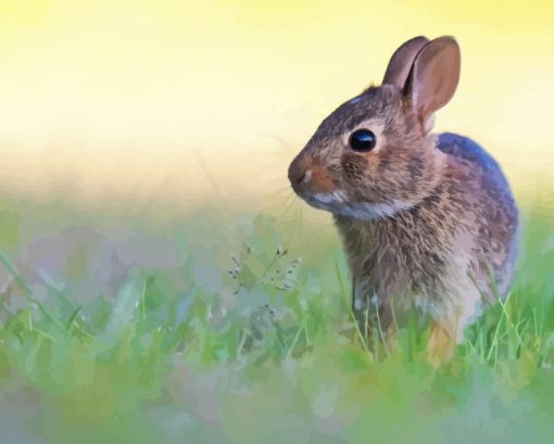 Wild European Rabbit Diamond Painting