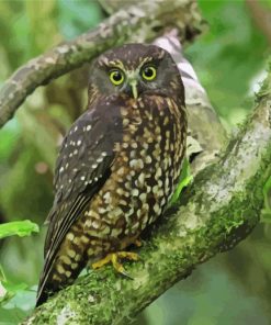 Aesthetic Morepork Diamond Painting