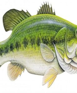 Bass Fish Diamond Painting