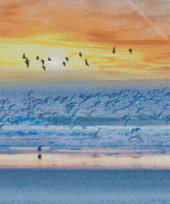 Beach With Seagulls Diamond Painting