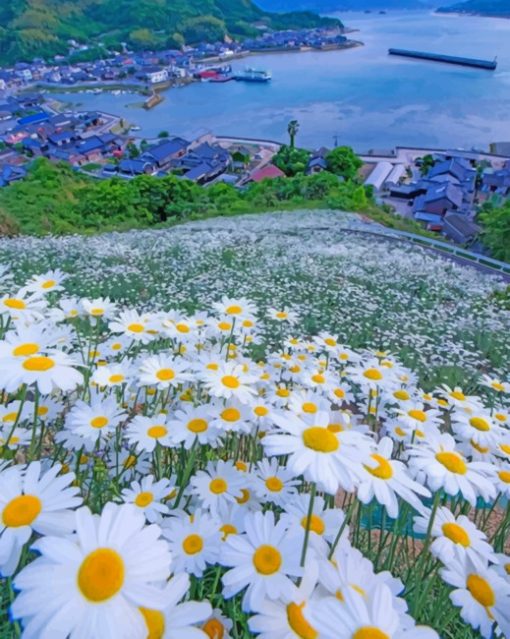 Beautiful Daisy Field Diamond Painting