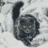 Black Cat In Snow Diamond Painting