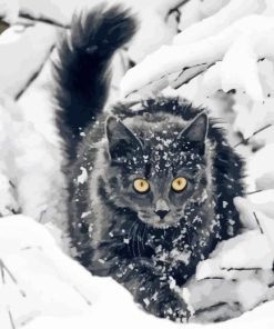 Black Cat In Snow Diamond Painting