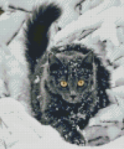 Black Cat In Snow Diamond Painting