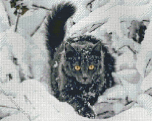 Black Cat In Snow Diamond Painting