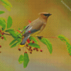 Bombycilla Waxwing Diamond Painting