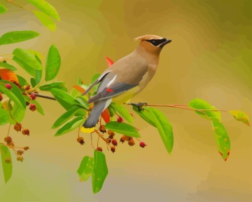 Bombycilla Waxwing Diamond Painting