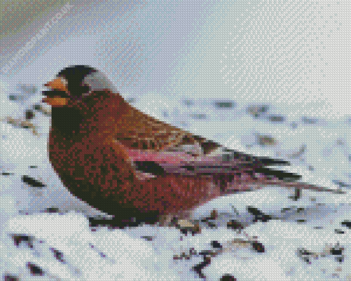 Brown Bird And Snow Diamond Painting