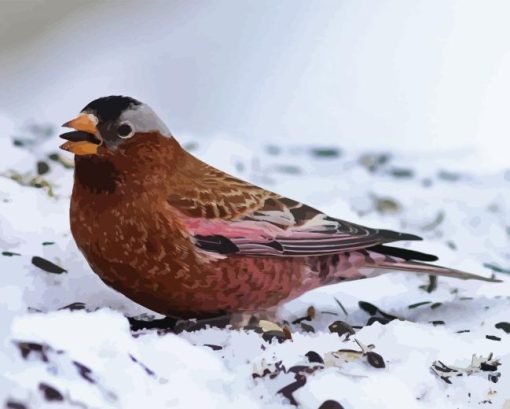 Brown Bird And Snow Diamond Painting