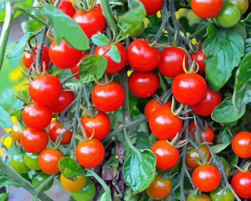 Cherry Tomatoes Diamond Painting