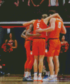 Clemson Tigers Mens Basketball Diamond Painting