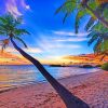 Coconut Trees Beach Diamond Painting