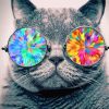 Cool Cat With Sunglasses Diamond Painting