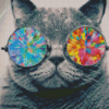 Cool Cat With Sunglasses Diamond Painting