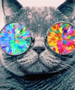 Cool Cat With Sunglasses Diamond Painting