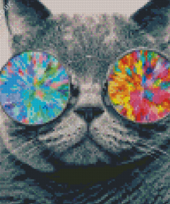 Cool Cat With Sunglasses Diamond Painting