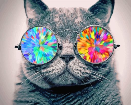 Cool Cat With Sunglasses Diamond Painting