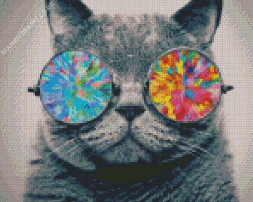 Cool Cat With Sunglasses Diamond Painting