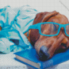 Cool Dog With Glasses Diamond Painting