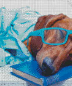 Cool Dog With Glasses Diamond Painting