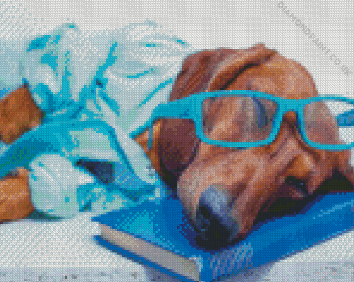 Cool Dog With Glasses Diamond Painting