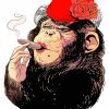 Female Monkey Smoking Diamond Painting