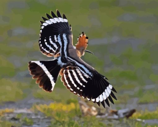 Flying Hoopoe Bird Diamond Painting