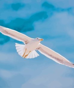 Flying White Seagull Diamond Painting