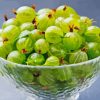 Gooseberries In Bowl Diamond Painting