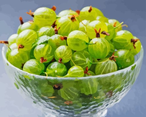 Gooseberries In Bowl Diamond Painting