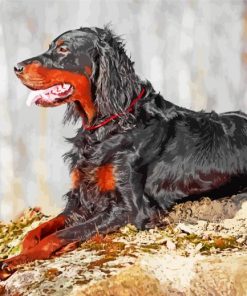 Gordon Setter Dog Diamond Painting