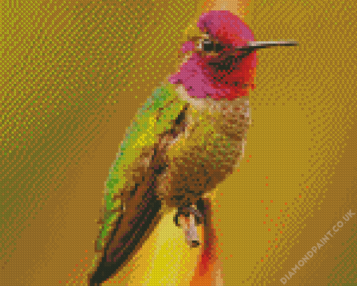 Green Hummingbird Diamond Painting