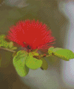 Honey Bee In Pohutukawa Diamond Painting