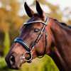 Horse With Black Bridle Diamond Painting