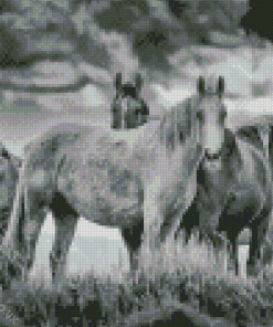 Horses In The Wild Diamond Painting