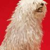 Komondor Dog Diamond Painting