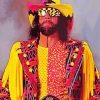 Macho Man Diamond Painting