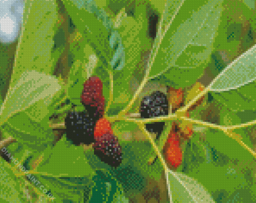 Mulberry Plant Diamond Painting