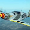 North American P51 Mustang Diamond Painting