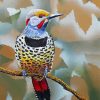 Northern Flicker Diamond Painting