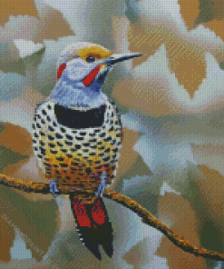 Northern Flicker Diamond Painting