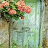 Old Door With Flowers Diamond Painting