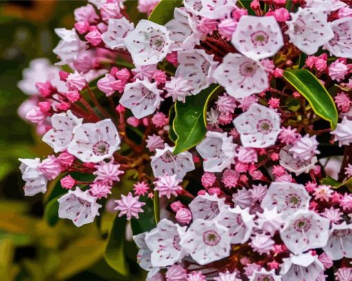 Pink Mountain Laurel Diamond Painting