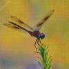 Purple Dragonfly Diamond Painting