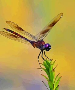 Purple Dragonfly Diamond Painting