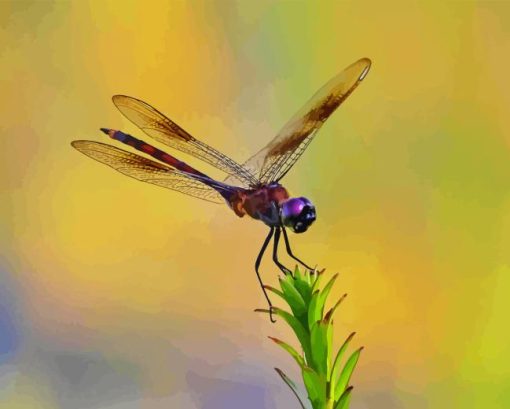 Purple Dragonfly Diamond Painting